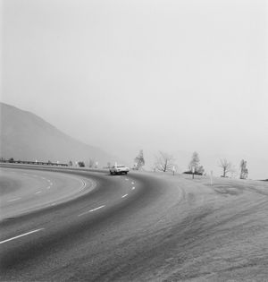 Robert Adams: Los Angeles Spring