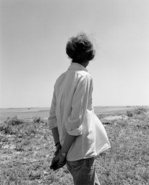 Robert Adams: Perfect Places, Perfect Company