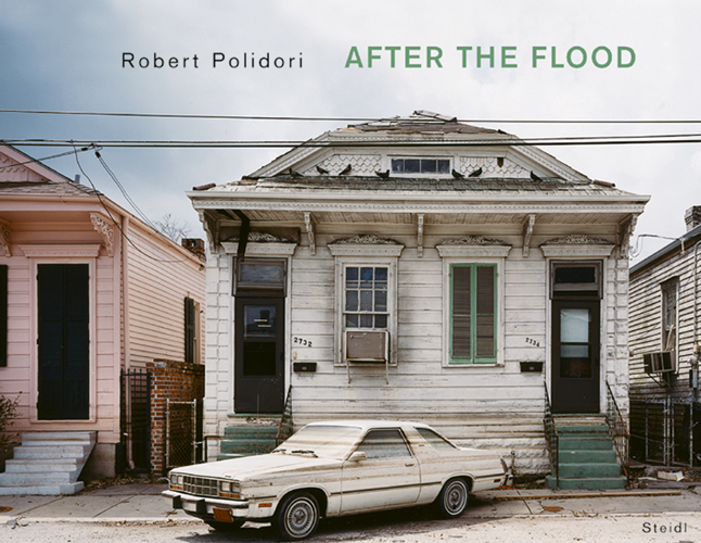 Robert Polidori After the Flood ARTBOOK | D.A.P. 2006 Catalog