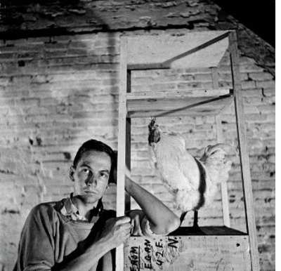 Robert Rauschenberg: Photographs Featured in New York Magazine