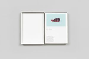 Robert Zhao Renhui: A Guide to the Flora and Fauna of the World