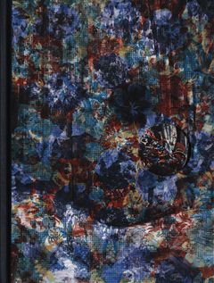 Roberto Molina Tondop: La Casita de Turrn