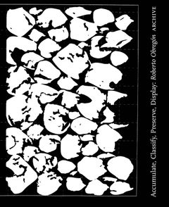 Roberto Obregn: Accumulate, Classify, Preserve, Display