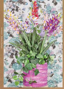 Roberto Tondop�: Tr�nsito