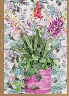 Roberto Tondop�: Tr�nsito