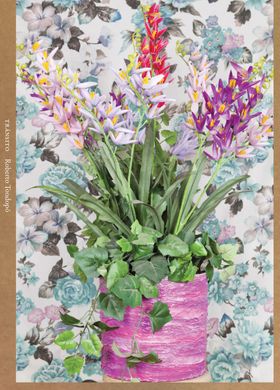 Roberto Tondop�: Tr�nsito