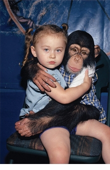 Robin Schwartz: Amelia and the Animals