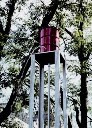 Roman Signer: Super-8 Films 1975�2001