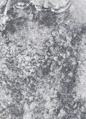 Roni Horn: A Dream Not Dreamt