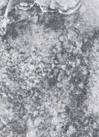 Roni Horn: A Dream Not Dreamt