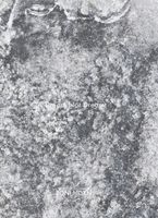 Roni Horn: A Dream Not Dreamt