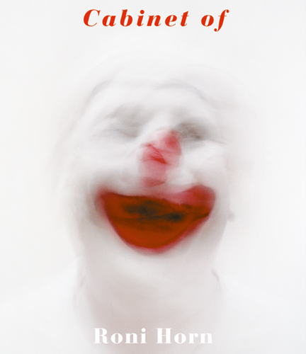 アート・デザイン・音楽 Cabinet of Roni Horn Roni Horn Cabinet Of ARTBOOK | D.A.P. 2003 Catalog Books