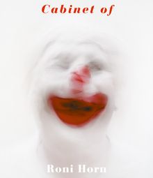 Roni Horn: Cabinet Of