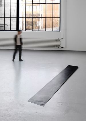 Roni Horn: Give Me Paradox or Give Me Death