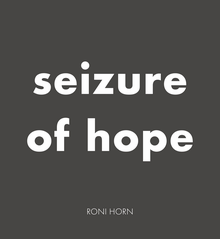 Roni Horn: Seizure of Hope