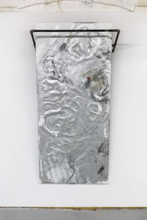 Rosy Keyser: Distal's Musk