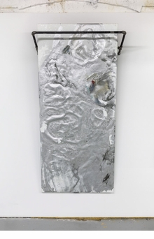 Rosy Keyser: Distal's Musk