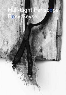 Rosy Keyser: Half-Light Periscope