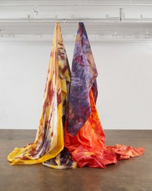 Sam Gilliam: The Last Five Years