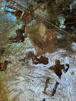 Samara Golden: if earth is the brain then where is the body