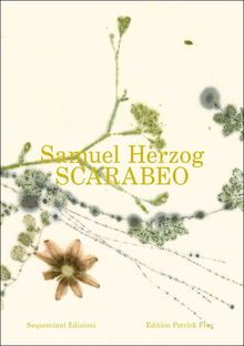 Samuel Herzog: Scarabeo