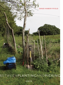 Sandi Haber Fifield: Between Planting and Picking