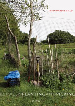 Sandi Haber Fifield: Between Planting and Picking