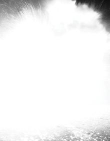 Sandra Kranich: Short Ride in a Fast Machine