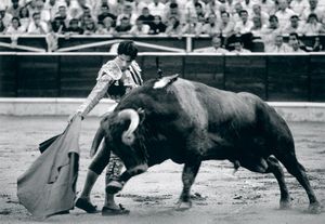 Sandro Miller: El Matador