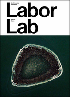 Sarah Ancelle Schönfeld: Labor Lab