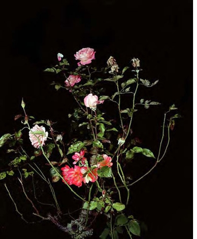 Sarah Jones Book Launch at Anton Kern Gallery