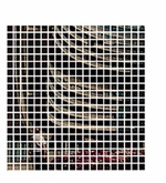 Sarah Morris: Capital