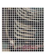 Sarah Morris: Capital
