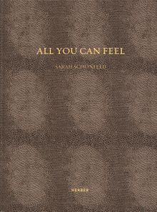 Sarah Schnfeld: All You Can Feel