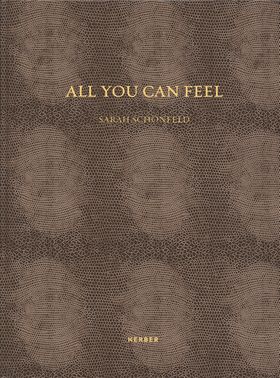 Sarah Schnfeld: All You Can Feel