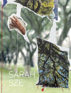 Sarah Sze