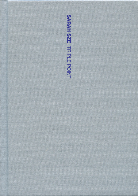Sarah Sze: Triple Point