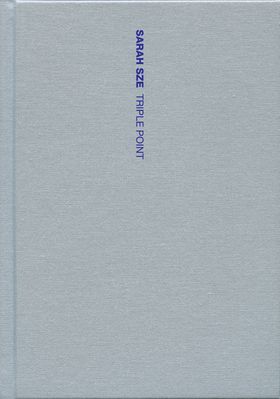 Sarah Sze: Triple Point