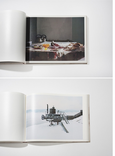 Savage nature and intimate domesticity in 'Michael Turek: Siberia'