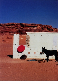 Scarlett Coten: Still Alive