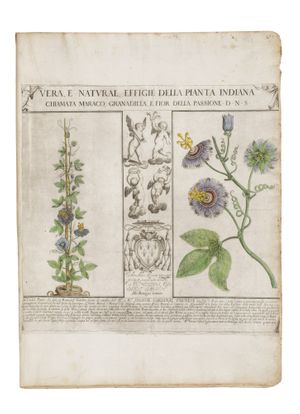 Seeds of Knowledge