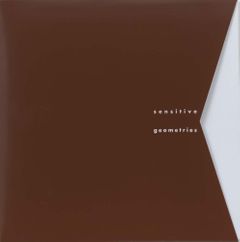 Sensitive Geometries: Brazil 1950s1980s