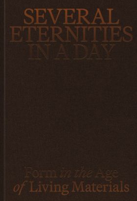 Several Eternities in a Day: Form in the Age of Living Materials