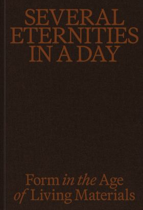 Several Eternities in a Day: Form in the Age of Living Materials