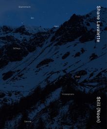 Shane Lavalette: Still (Noon)