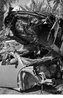 Shannon Ebner: Auto Body Collision