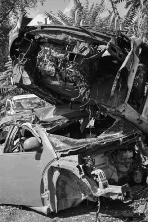 Shannon Ebner: Auto Body Collision