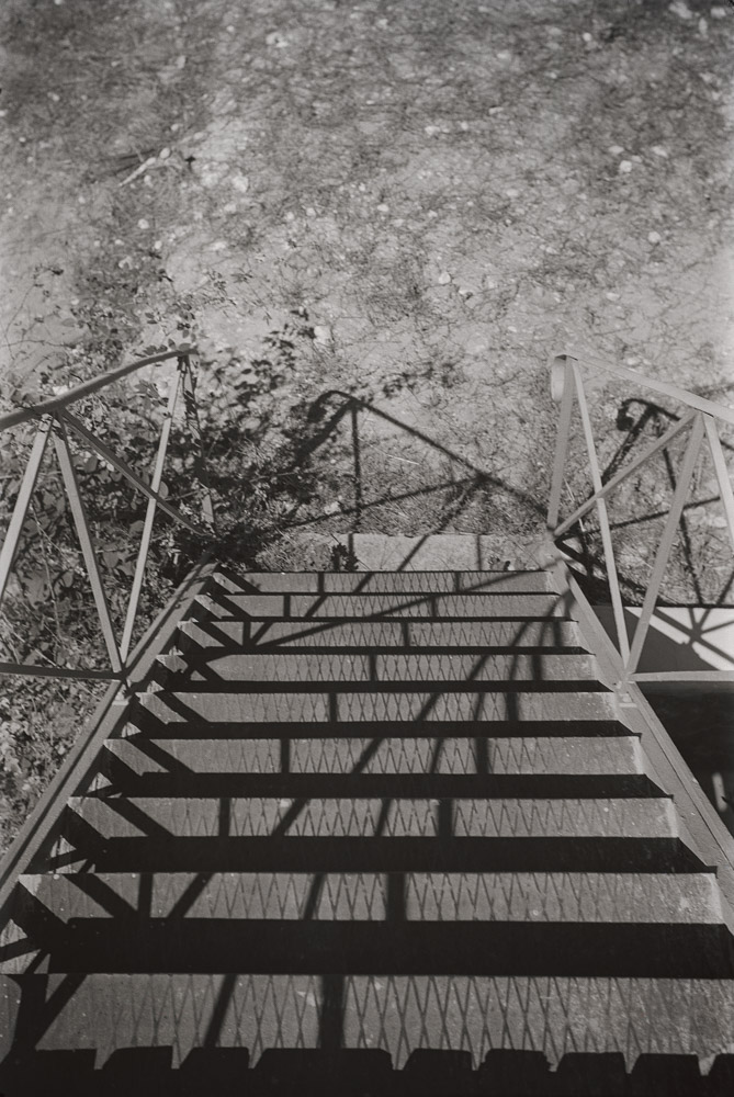 Shape, Ground, Shadow The Photographs of Ellsworth Kelly
