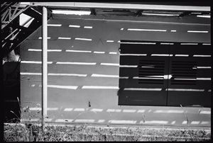 Shape, Ground, Shadow: The Photographs of Ellsworth Kelly