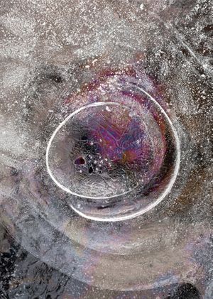 Shelter Cookbook